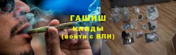 дмт Богданович