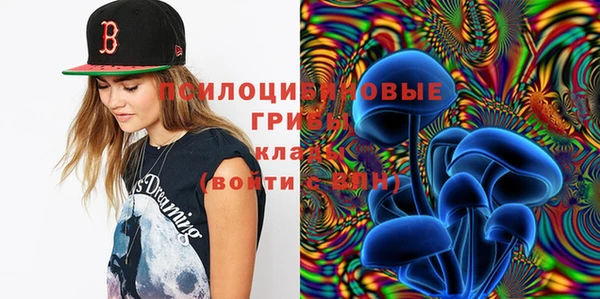 дмт Богданович