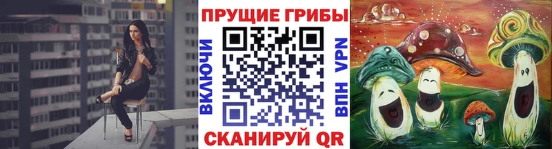 закладки Кушва Псилоцибиновые грибы мицелий